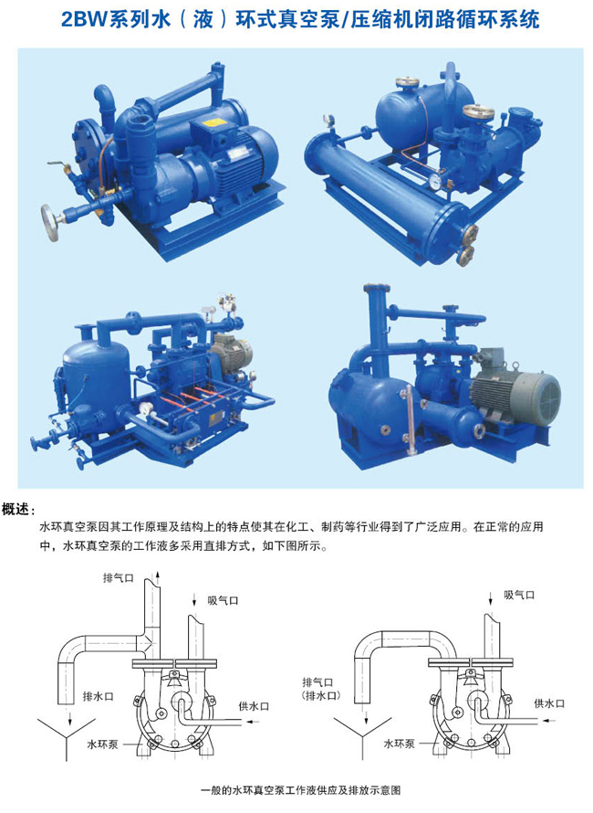 水環(huán)式真空泵